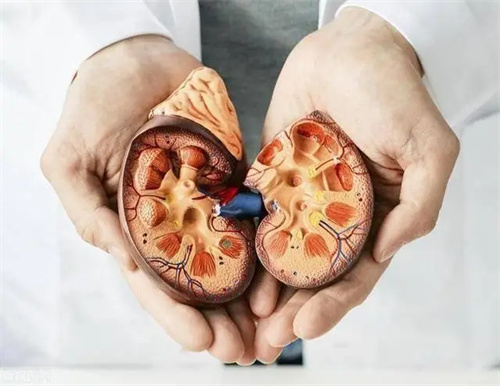细节描述