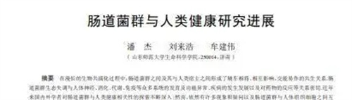 细节介绍
