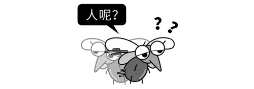 细节呈现