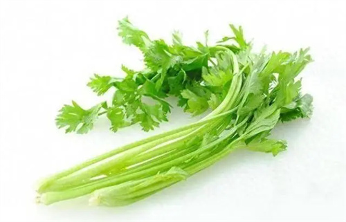 细节介绍