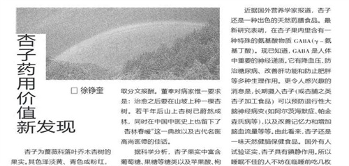 细节呈现