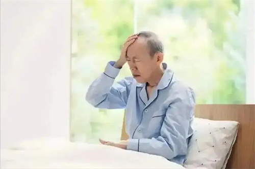 详细介绍
