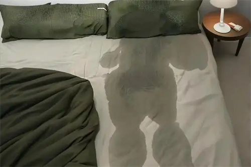 细节介绍