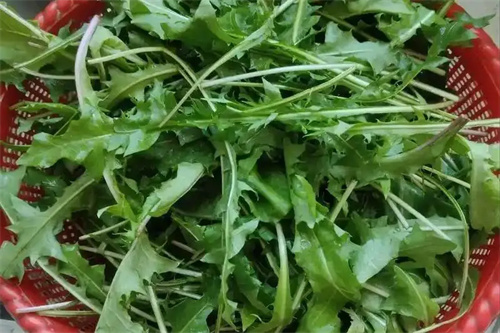 细节呈现