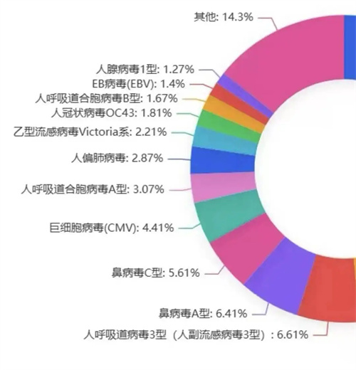 图片细节