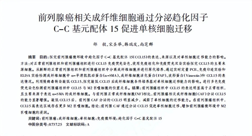 图片细节