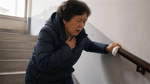 详细展示