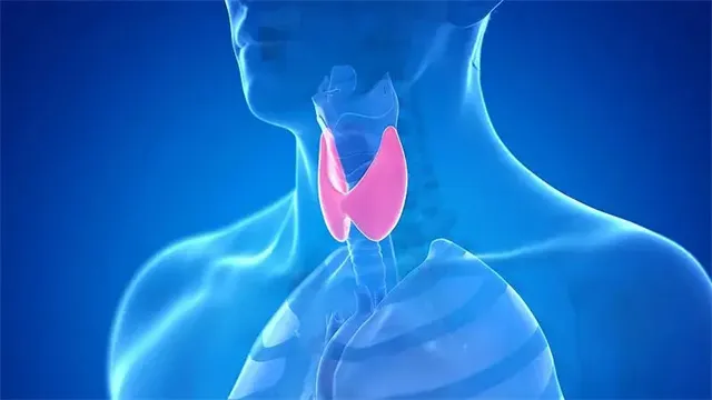 细节呈现