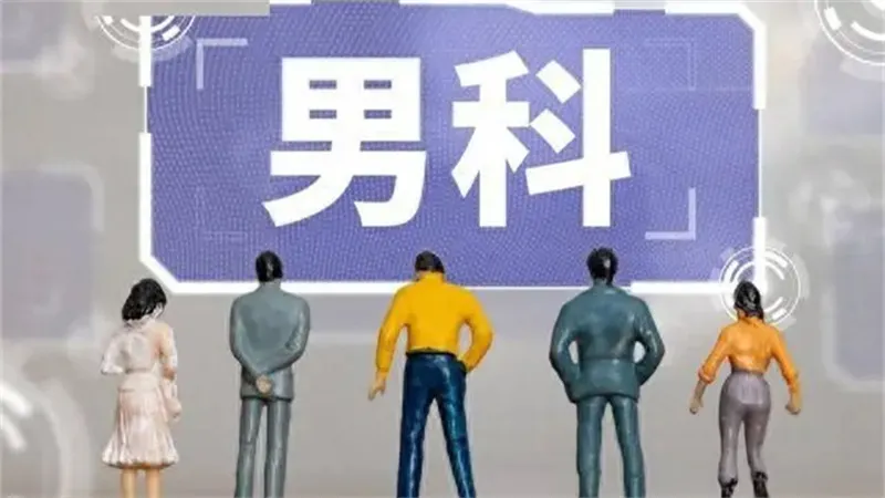 详细说明